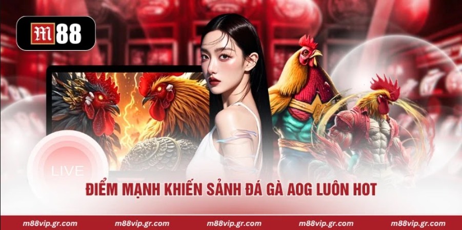 Điểm mạnh khiến sảnh đá gà AOG luôn hot 