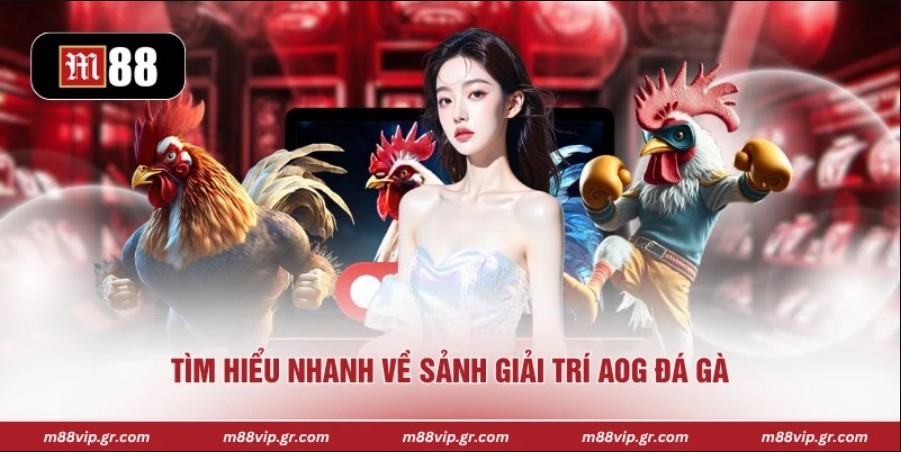 Tìm hiểu nhanh về sảnh giải trí AOG đá gà 
