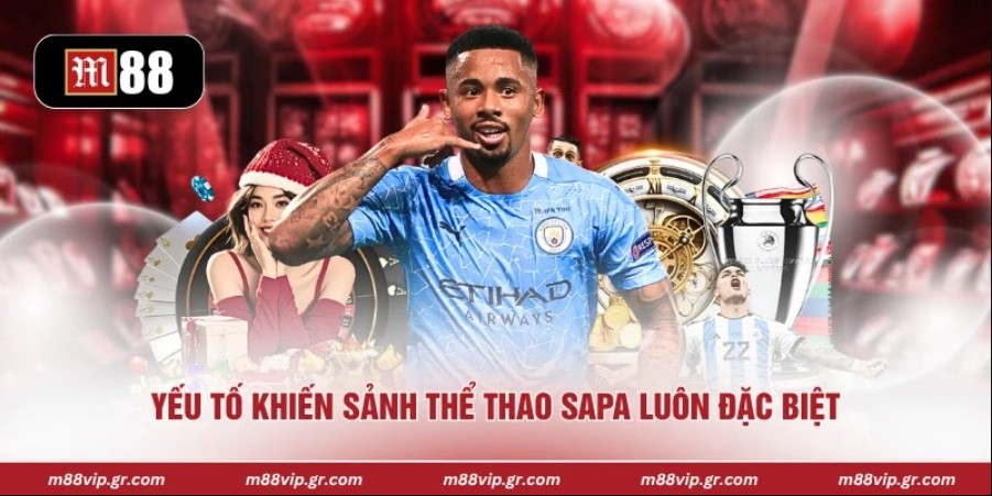 Yếu tố khiến sảnh thể thao sapa luôn đặc biệt 